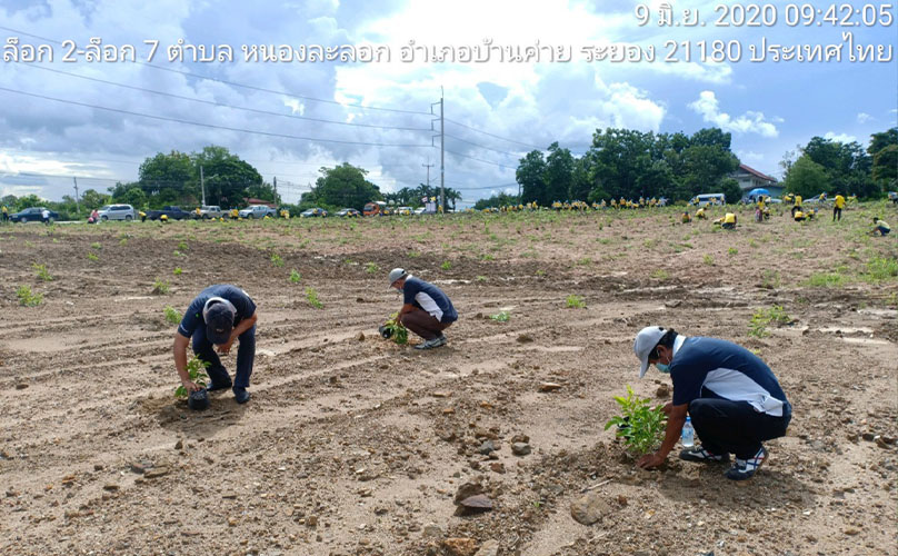 green-efforts-project