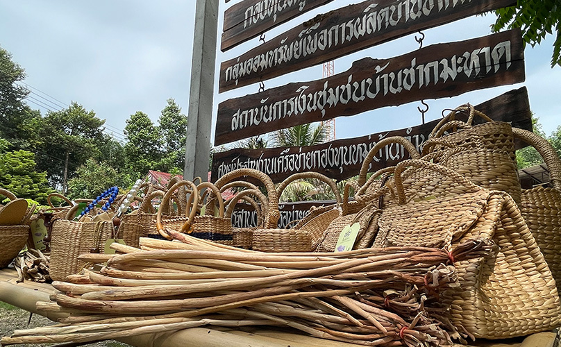 water-hyacinth-project